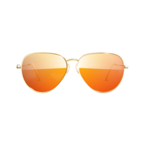 Classic Polarized Sunglasses